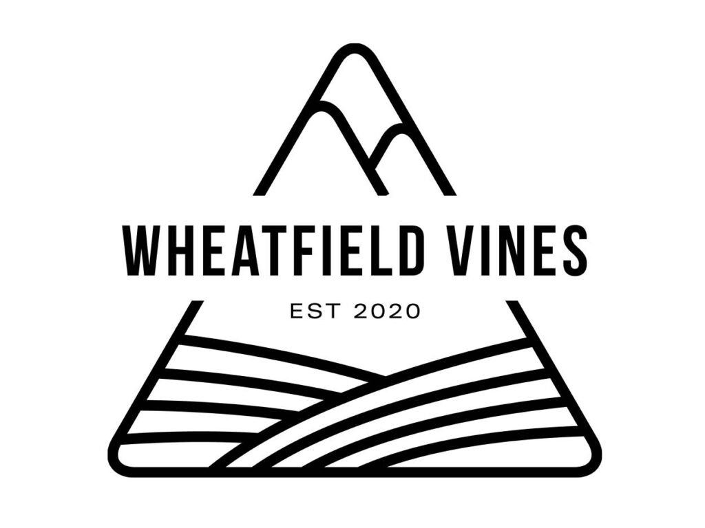 Wheatfield Vines Vineyard